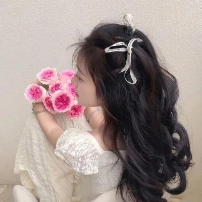 秘密访客